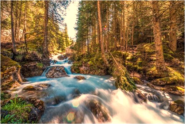 夢到捉野鴨有什麼含義_周公解夢官網