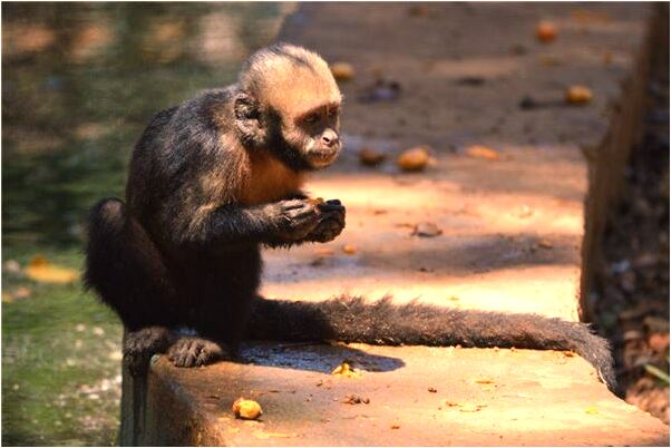 夢到被同學強吻預示什麼_周公解夢官網