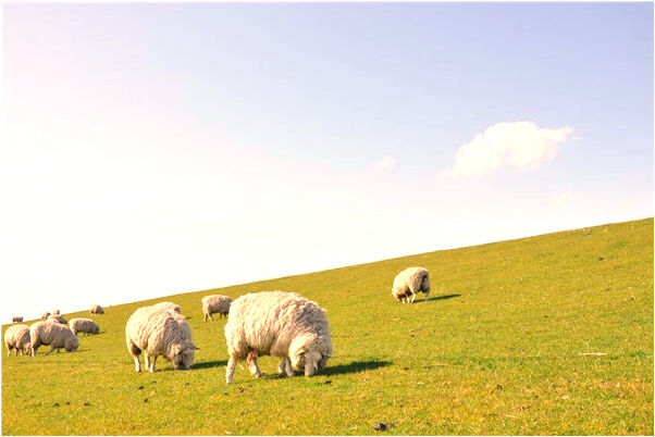 夢見和自己藍顏睡在一起有什麼含義_周公解夢官網