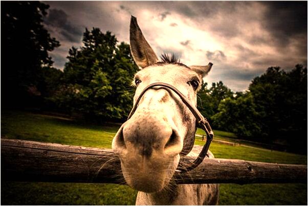 夢到從樓上摔死有什麼預兆_周公解夢官網