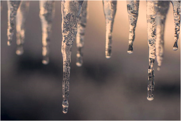 夢見一群烏龜爬樓梯是怎么回事_周公解夢官網