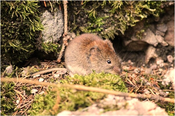 夢到了給死人買衣服鞋子是好事還是壞事_周公解夢官網
