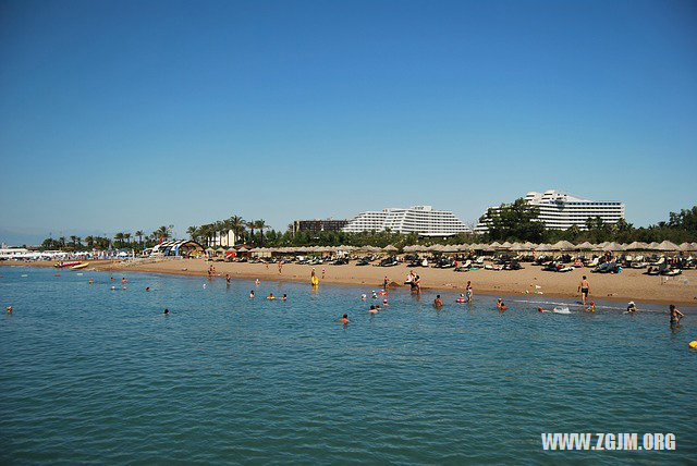 夢見狗下小狗_周公解夢夢到狗下小狗是什麼意思_做夢夢見狗下小狗好不好_周公解夢官網