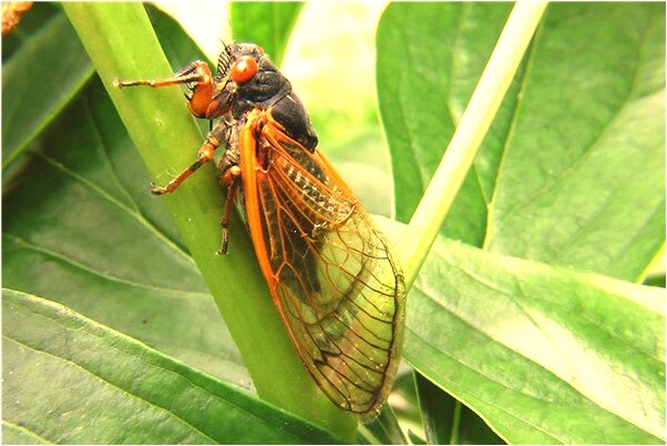 夢到了別人生氣摔手機是什麼意思_周公解夢官網