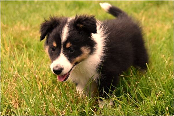 夢到了老公有何前女人在一起意味著什麼_周公解夢官網