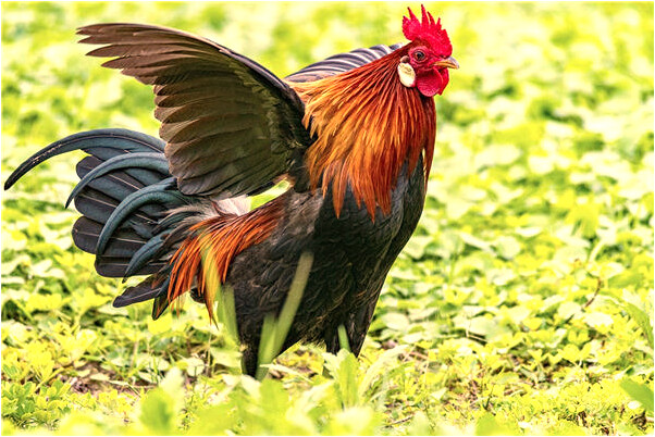 夢到了霧霾樓房預示什麼_周公解夢官網