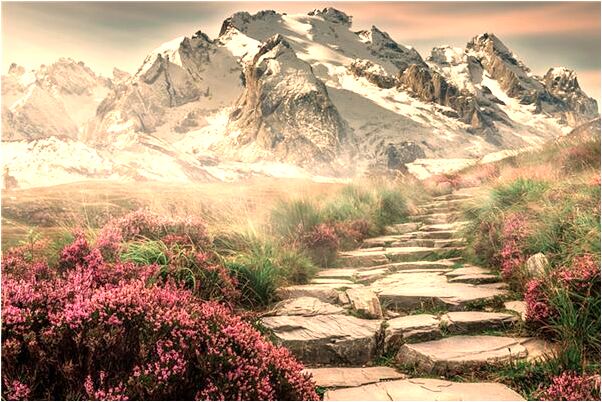 夢到了被狗包圍有什麼寓意嗎？_周公解夢官網