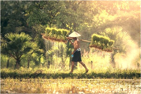 夢到掉進了水缸是凶兆還是吉兆_周公解夢官網