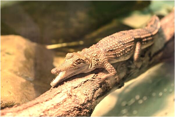 夢見和一個女的在一起是什麼徵兆_周公解夢官網