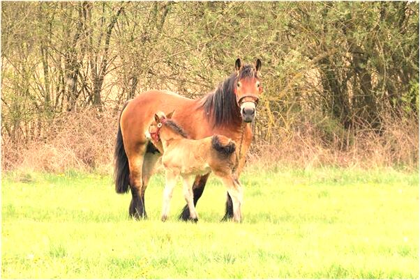 夢到牙齒咬小石子是不是好的徵兆呢_周公解夢官網