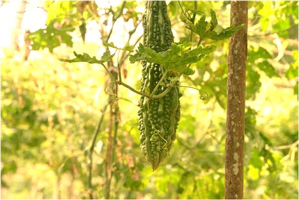 夢到了慌水大的是不是好的徵兆呢_周公解夢官網