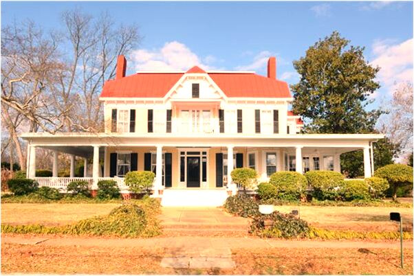 夢到仙鶴和孔雀是好是壞_周公解夢官網