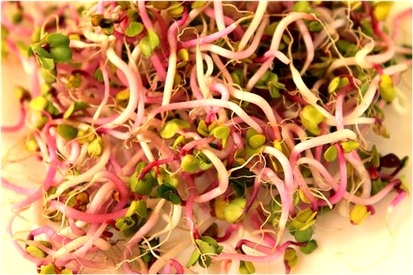 夢到自己做了別人的小三會怎么樣_周公解夢官網