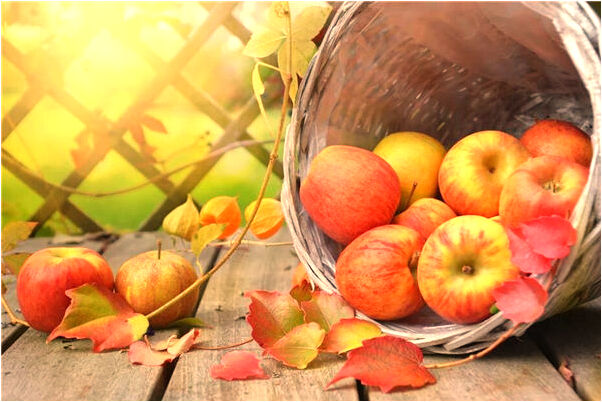 夢見男友哄小女孩是吉兆嗎?_周公解夢官網