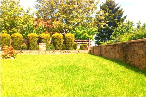 夢到經常同一個男同學有什麼寓意嗎？_周公解夢官網