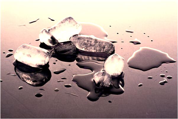 夢到了好多綠色蛇是什麼預兆？_周公解夢官網