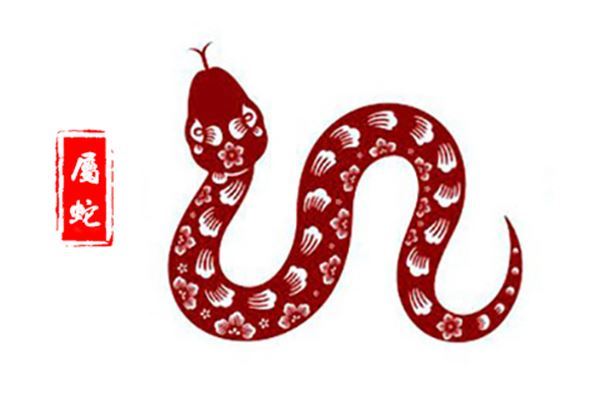 屬蛇人2021年全年運勢 生肖蛇在牛年每月運勢如何_十二生肖