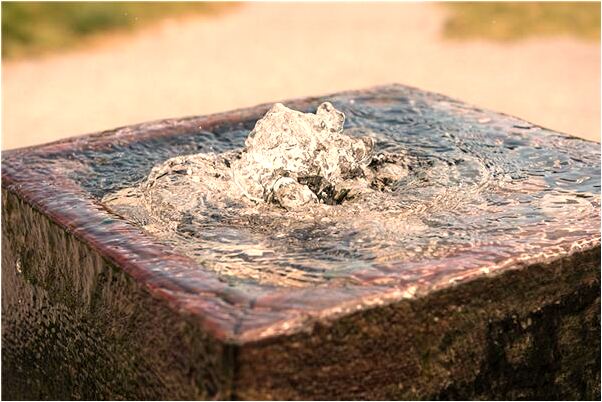 夢到了一條白蛇一下站起來有什麼意義嗎_周公解夢官網