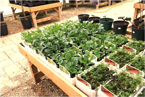 夢見夢接電話有什麼意義嗎_周公解夢官網