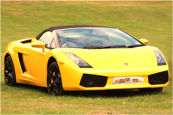 夢到身上被砍成無數刀傷是什麼啟示_周公解夢官網