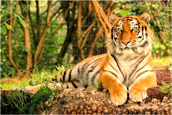 夢見我和劉義豪結婚了是啥意思_周公解夢官網