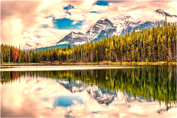 夢到了白色蕾絲襪是什麼徵兆_周公解夢官網