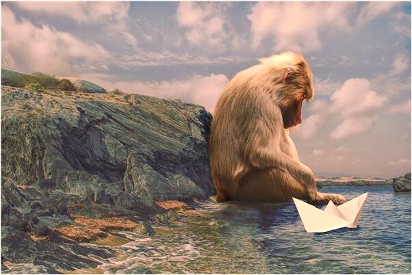 夢到了飛機出事人平安是什麼預兆_周公解夢官網