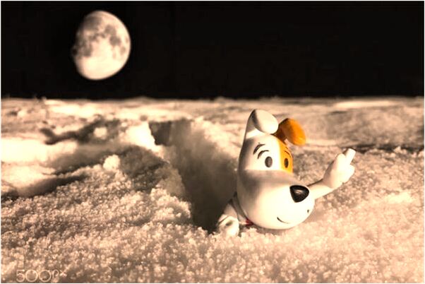 夢見蓋樓未完工什麼寓意_周公解夢官網