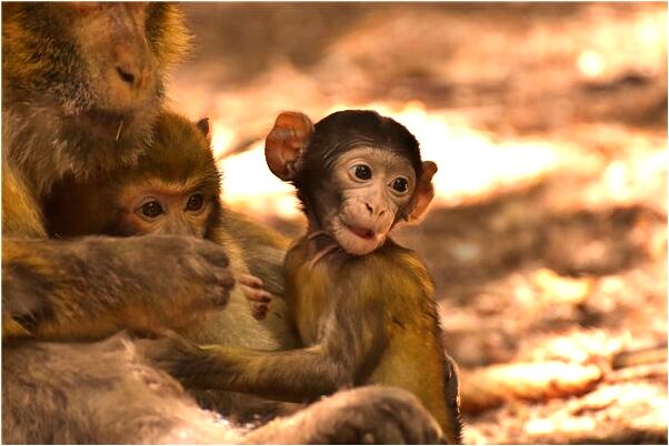 夢到女同事被人殺死代表著什麼_周公解夢官網