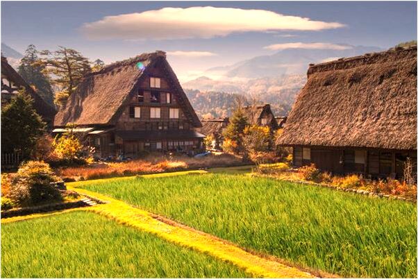 夢見自己被狗咬沒有出血是凶兆還是吉兆_周公解夢官網