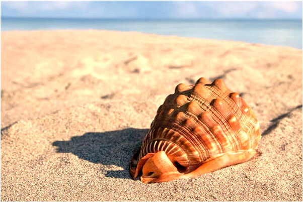 夢到下雨被淋濕怎么說_周公解夢官網