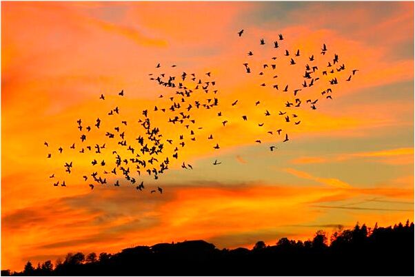 夢見夢與老同學老同事在一起是什麼徵兆_周公解夢官網