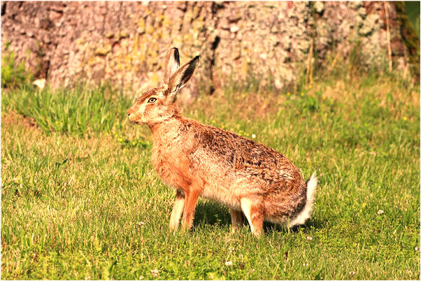 夢見修理椅子裝修樓房意味著什麼_周公解夢官網