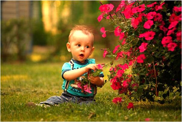 夢到打的羅漢不動是怎么回事_周公解夢官網