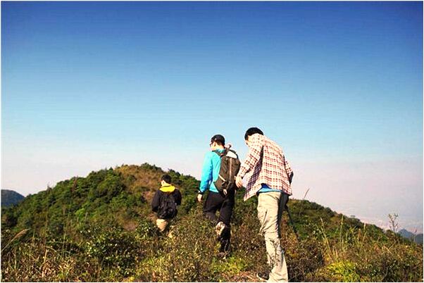 夢到槐花開的白白是什麼預兆_周公解夢官網