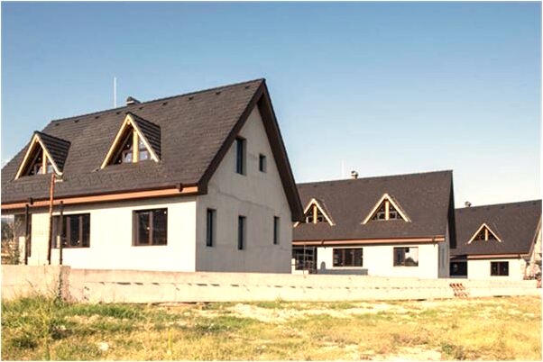 夢到自家院裡有一群牛有什麼意思_周公解夢官網