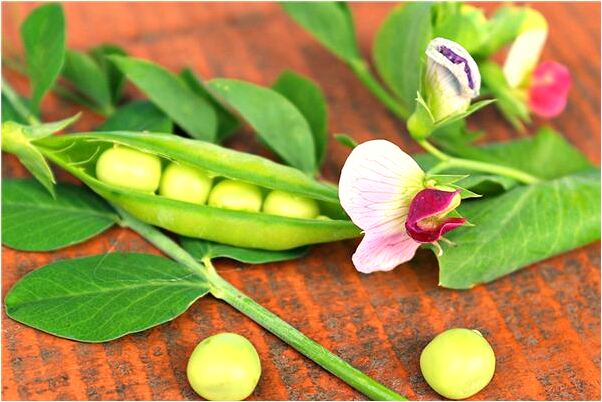 夢到檯燈和計算器是啥預兆_周公解夢官網