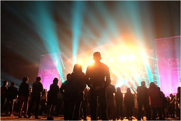 夢到有鳥偷吃雞肉趕不走意味著什麼_周公解夢官網