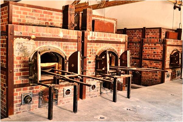 夢見自己抱里有很錢一百元怎么樣_周公解夢官網