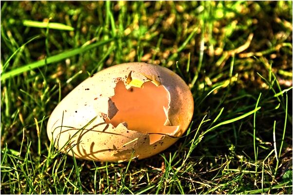 夢見買糖給別人是什麼兆頭_周公解夢官網