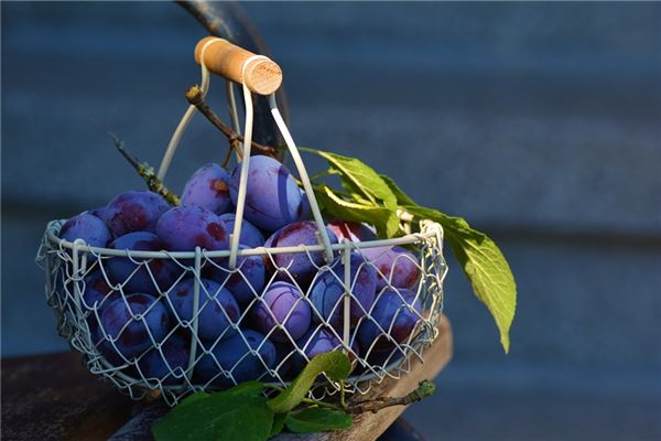 夢到了很多李子有什麼預兆_周公解夢