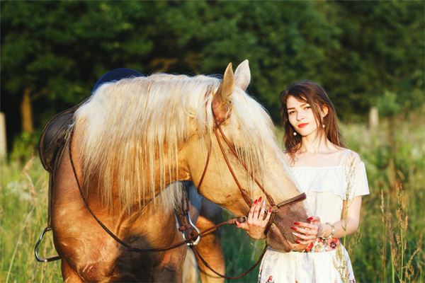 12生肖哪個肖最勤奮_十二生肖