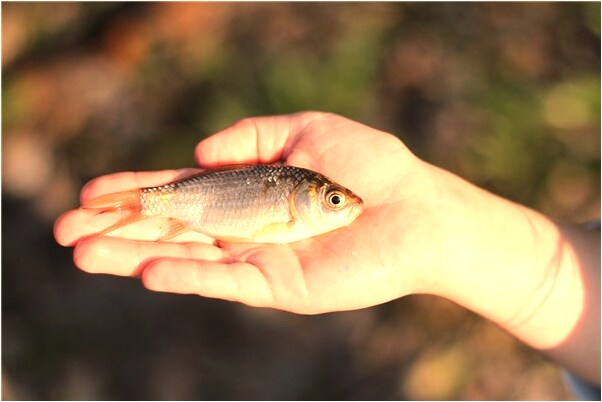 夢到別人給百元鈔票預示什麼_周公解夢官網