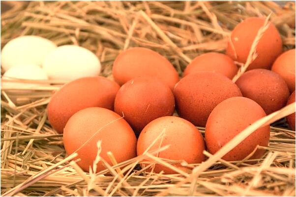 夢到和朋友一起騎車撞樹是啥預兆_周公解夢官網