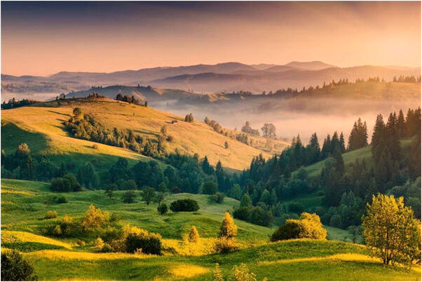 夢到兒子丟到水裡找不找是什麼預兆_周公解夢官網