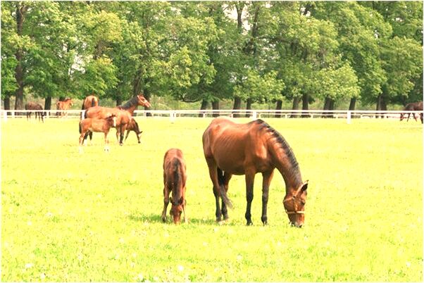 夢到了海底外星人什麼寓意_周公解夢官網