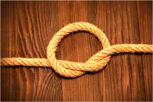 夢到了一群大龜是咋回事_周公解夢官網