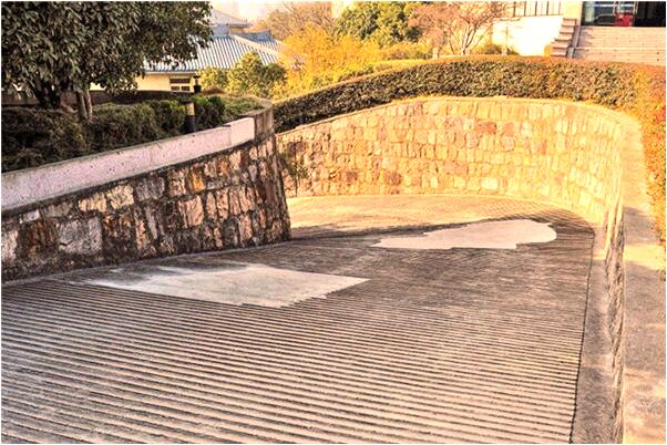 夢見背著快要死的人意味著什麼_周公解夢官網