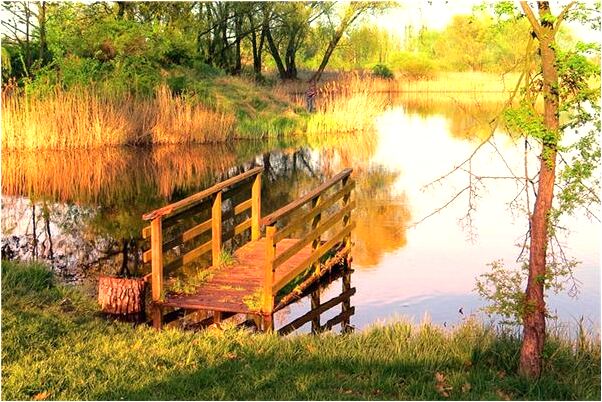 夢到死了的雙胞胎意味著什麼_周公解夢官網