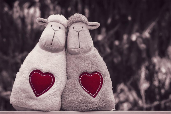 2015年12月出生屬羊的性格_十二生肖